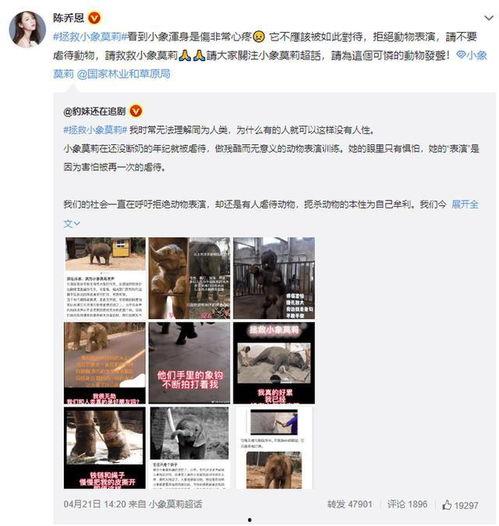 小象莫莉首次爆料视频,独家爆料背后的故事 第1张 小象莫莉首次爆料视频,独家爆料背后的故事 第1张