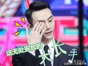 扒姐爆料王凯视频播放,扒姐独家爆料幕后真相  第2张